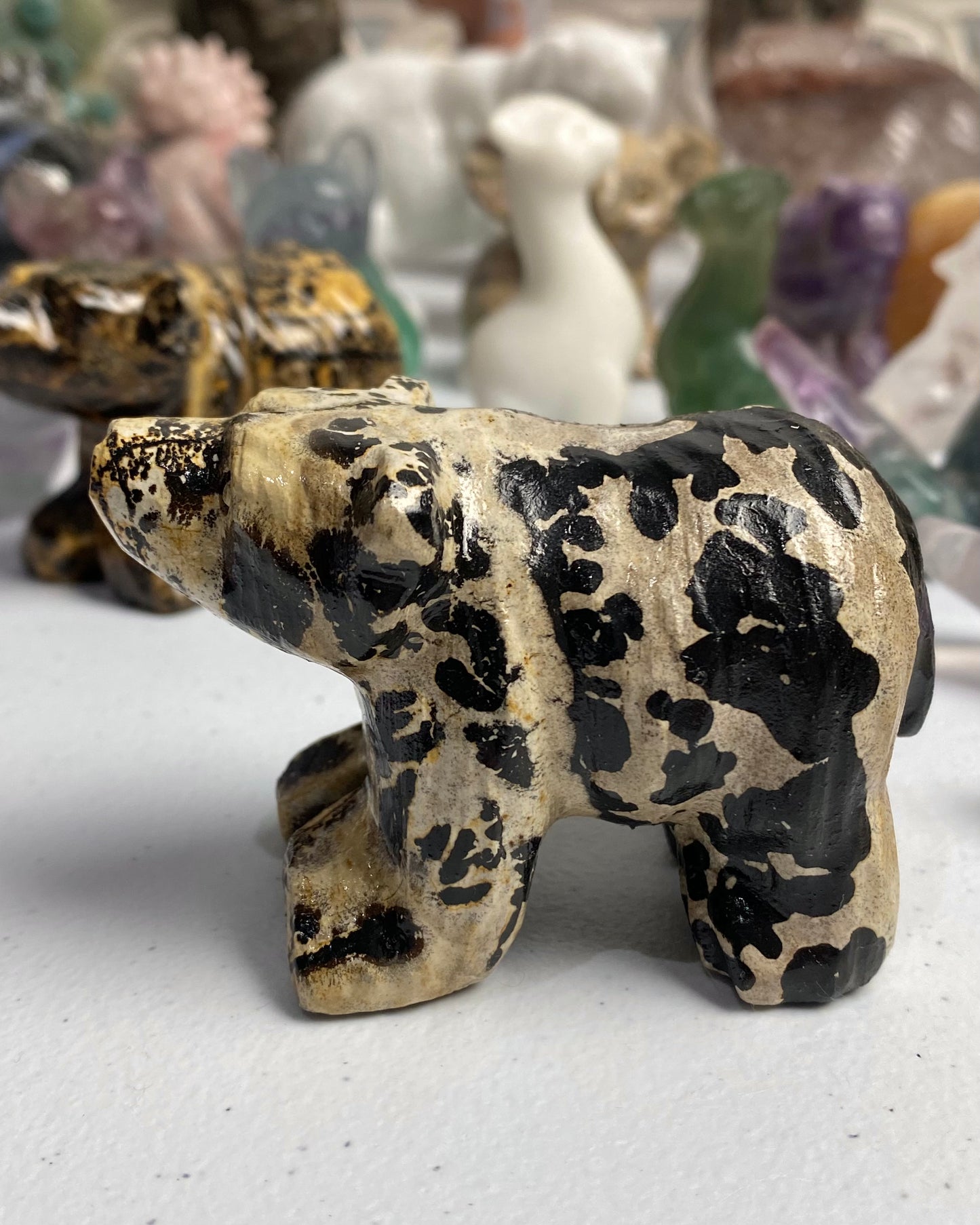 Picture Jasper Bear