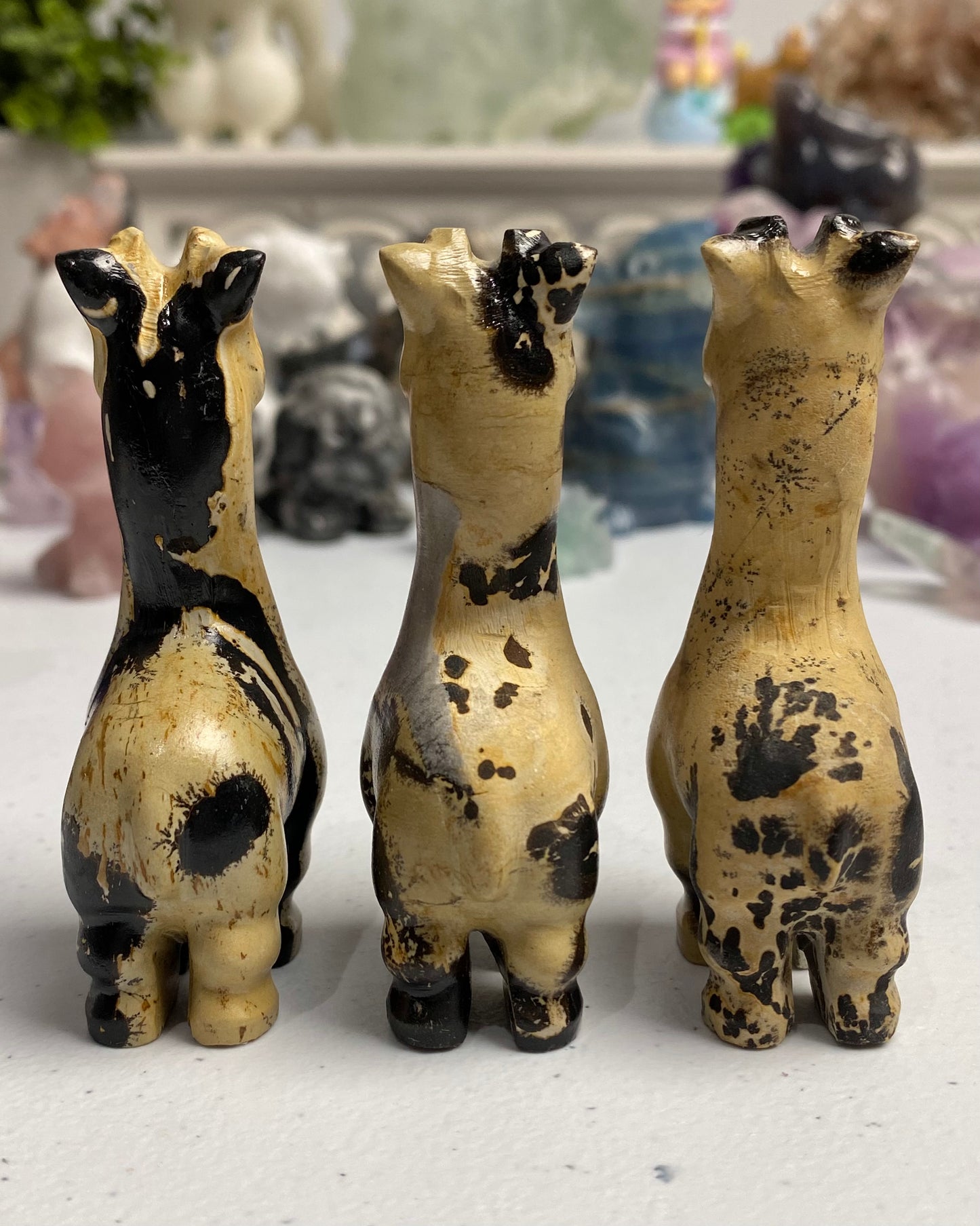 Picture Jasper Giraffe