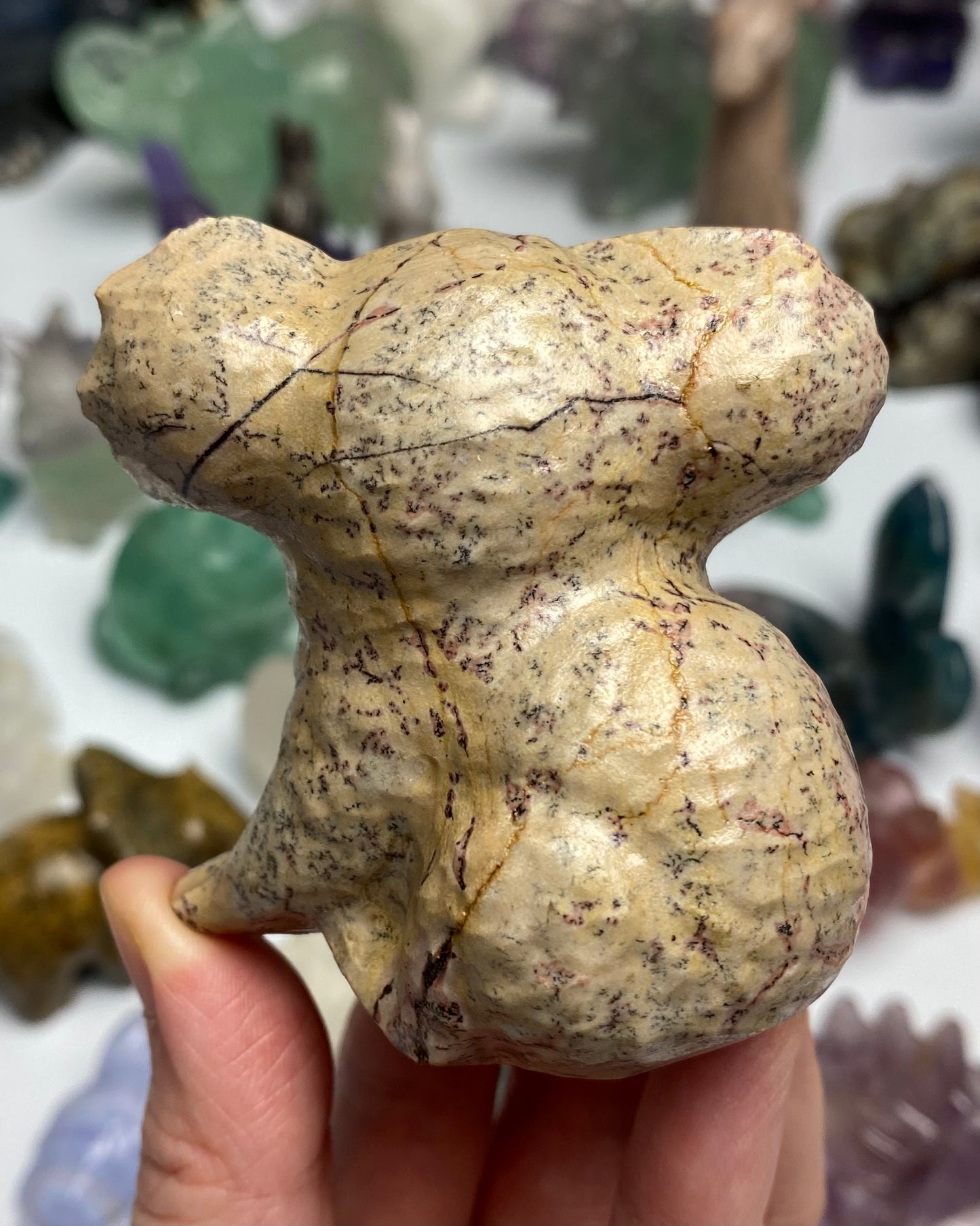 Picture Jasper Koala Bear