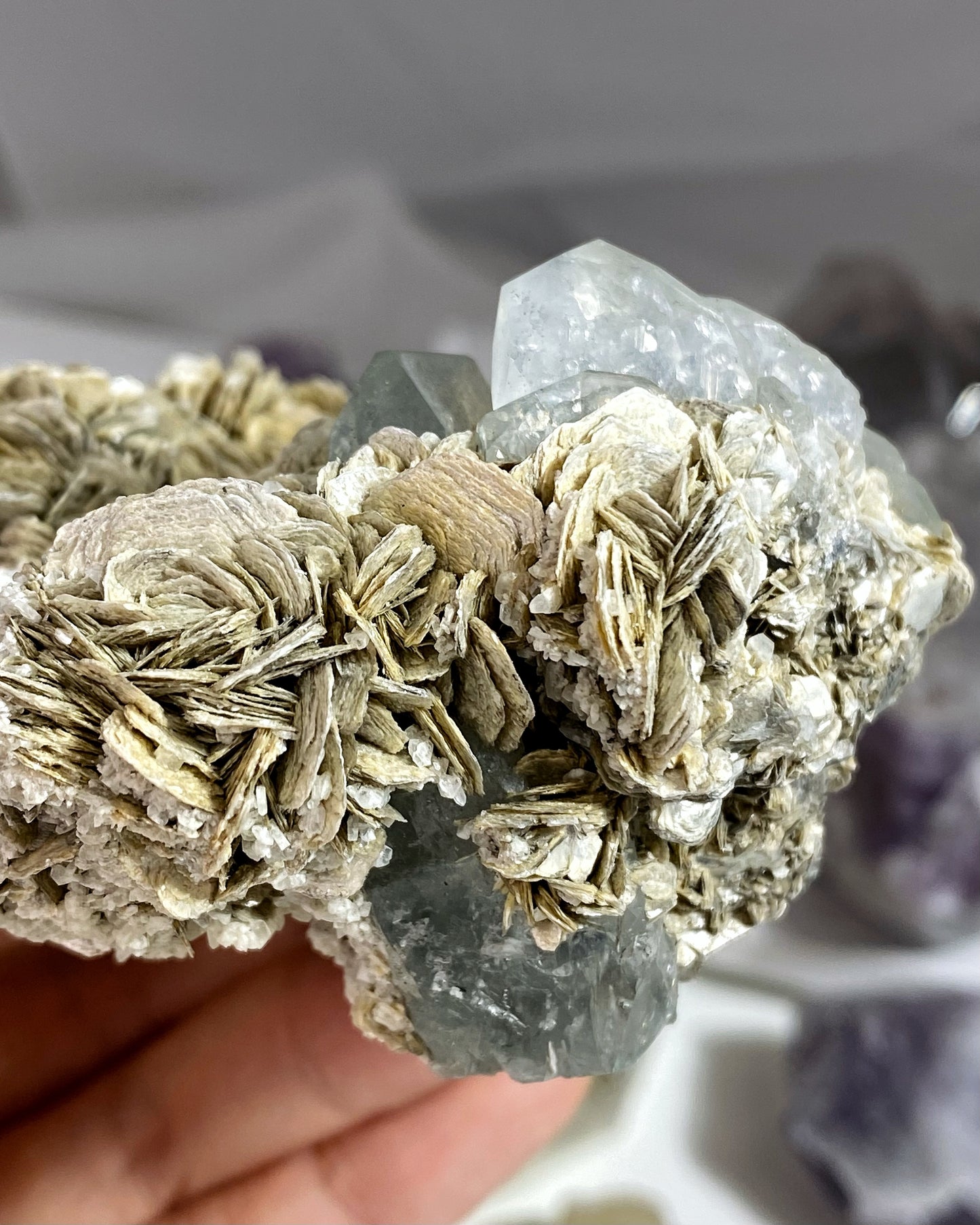 Aquamarine Crystals on Muscovite