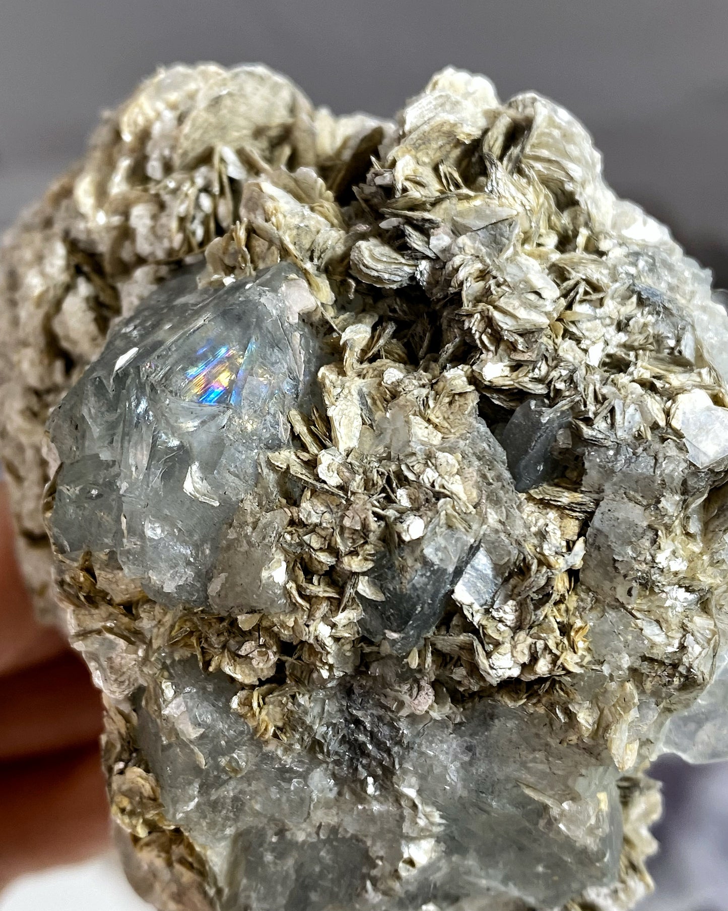 Aquamarine Crystals on Muscovite