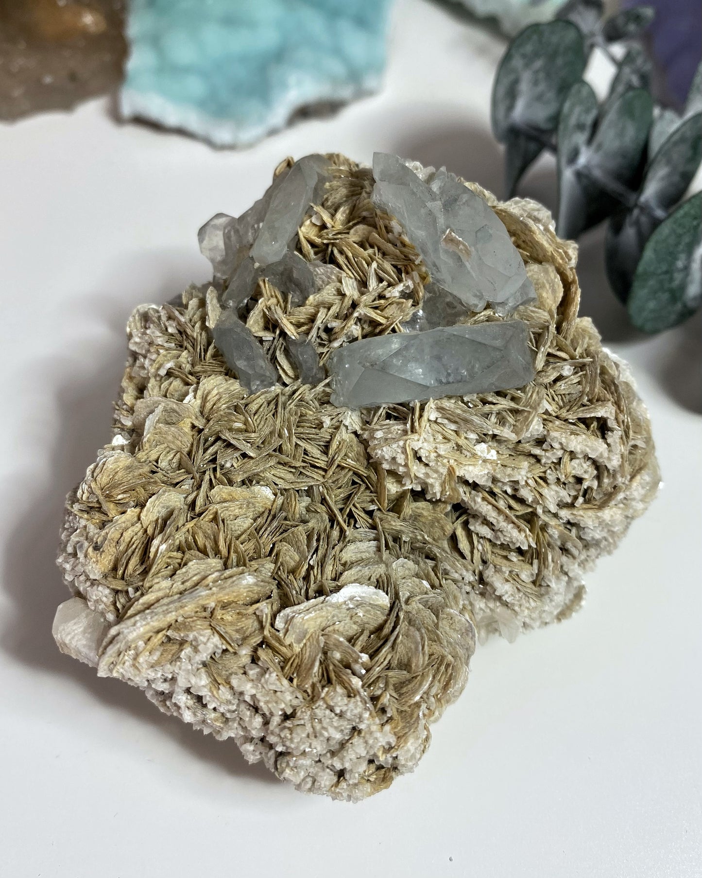 Aquamarine Crystals on Muscovite