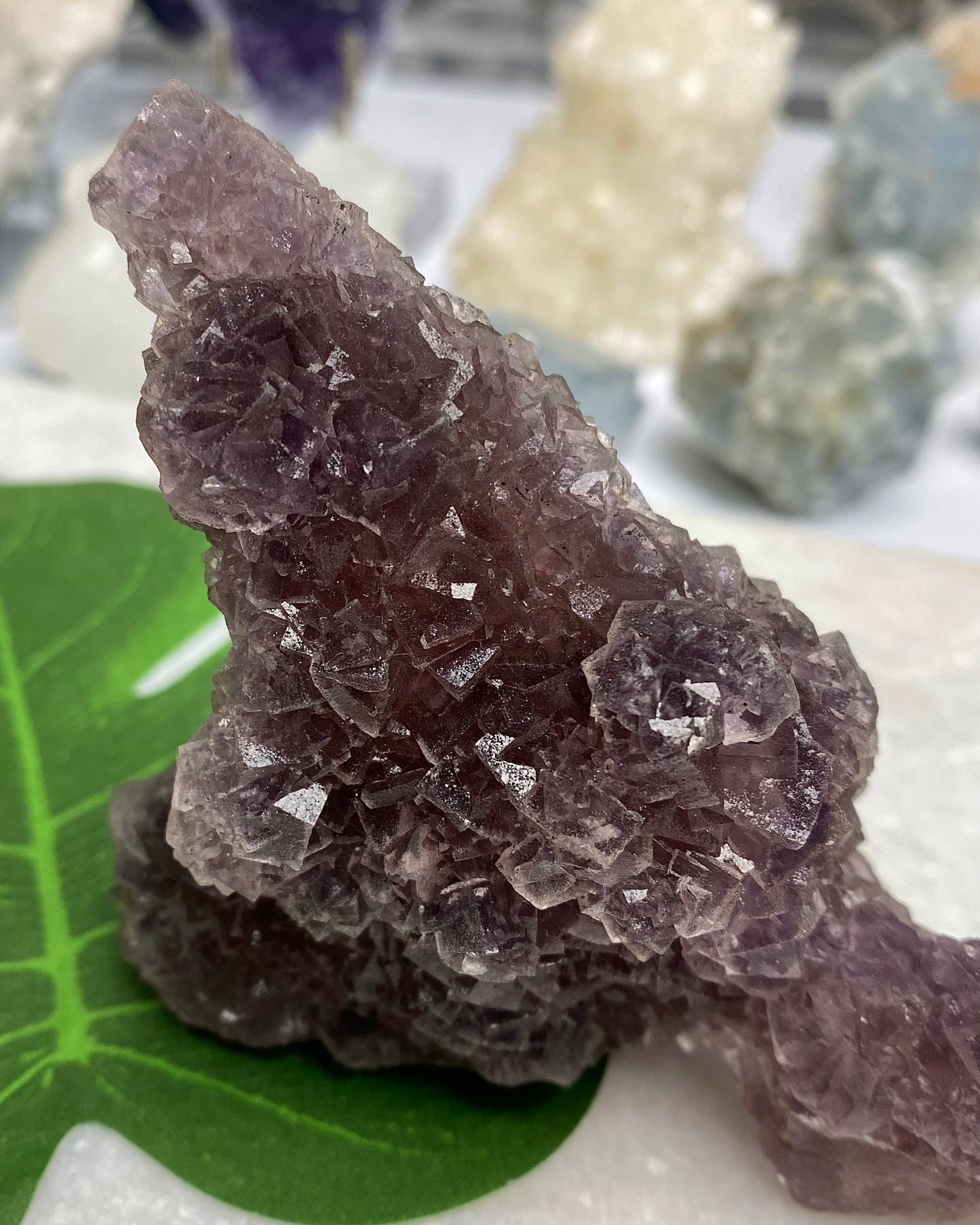 Burgundy Purple Fluorite with Orange Core