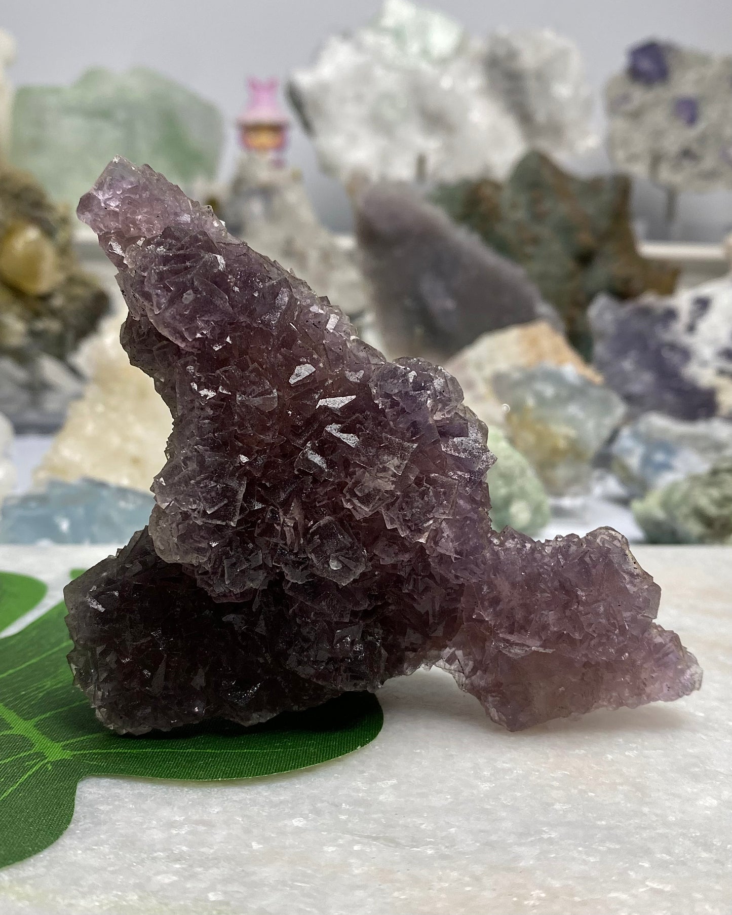 Burgundy Purple Fluorite with Orange Core