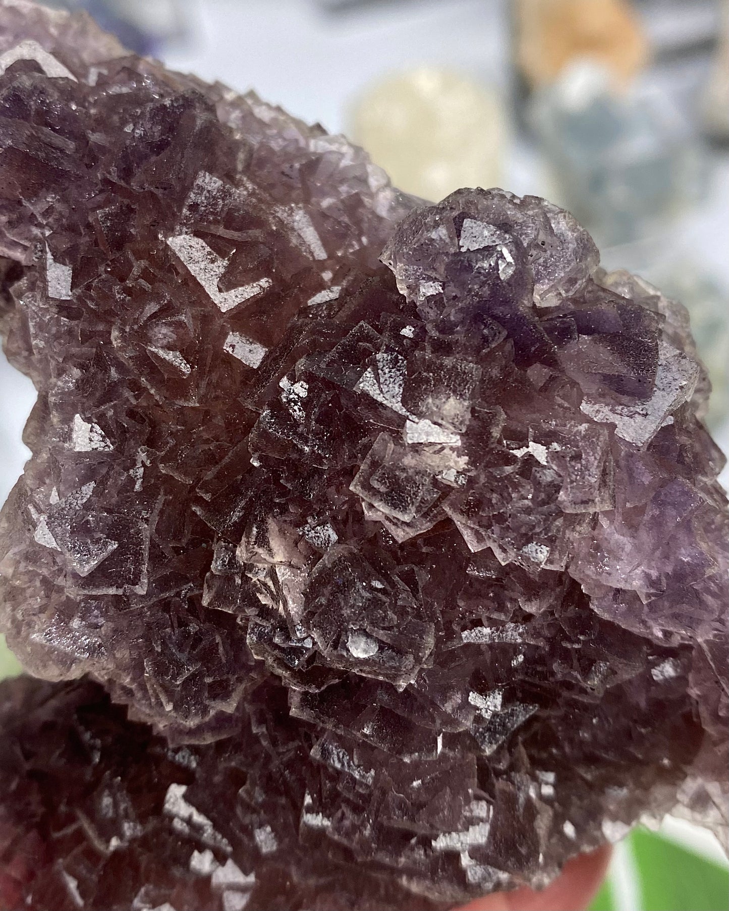 Burgundy Purple Fluorite with Orange Core