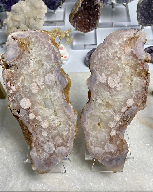 Flower Agate Druzy Quartz Slab Butterfly Wings