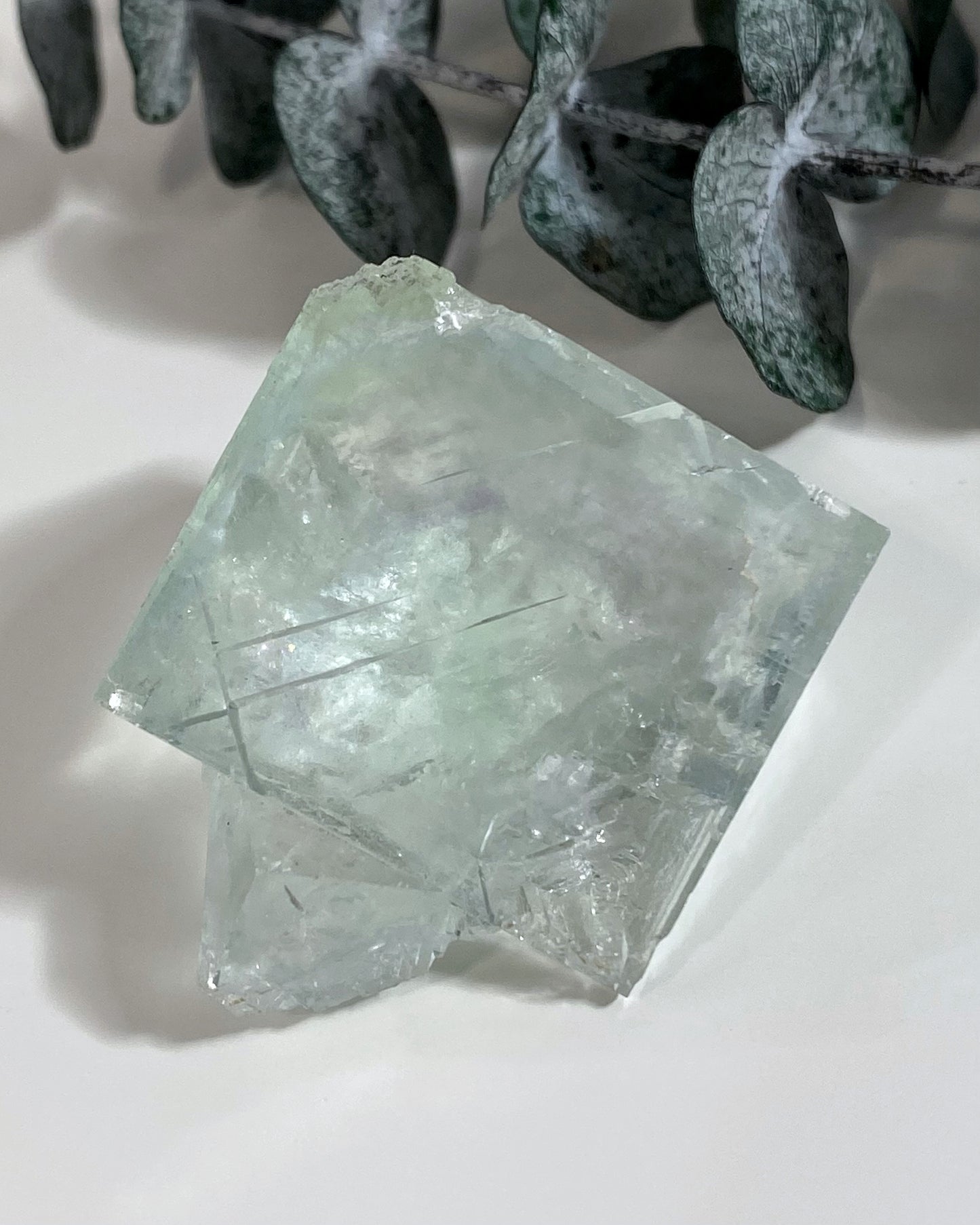 Glassy Green Cubic Fluorite with Purple Zoning