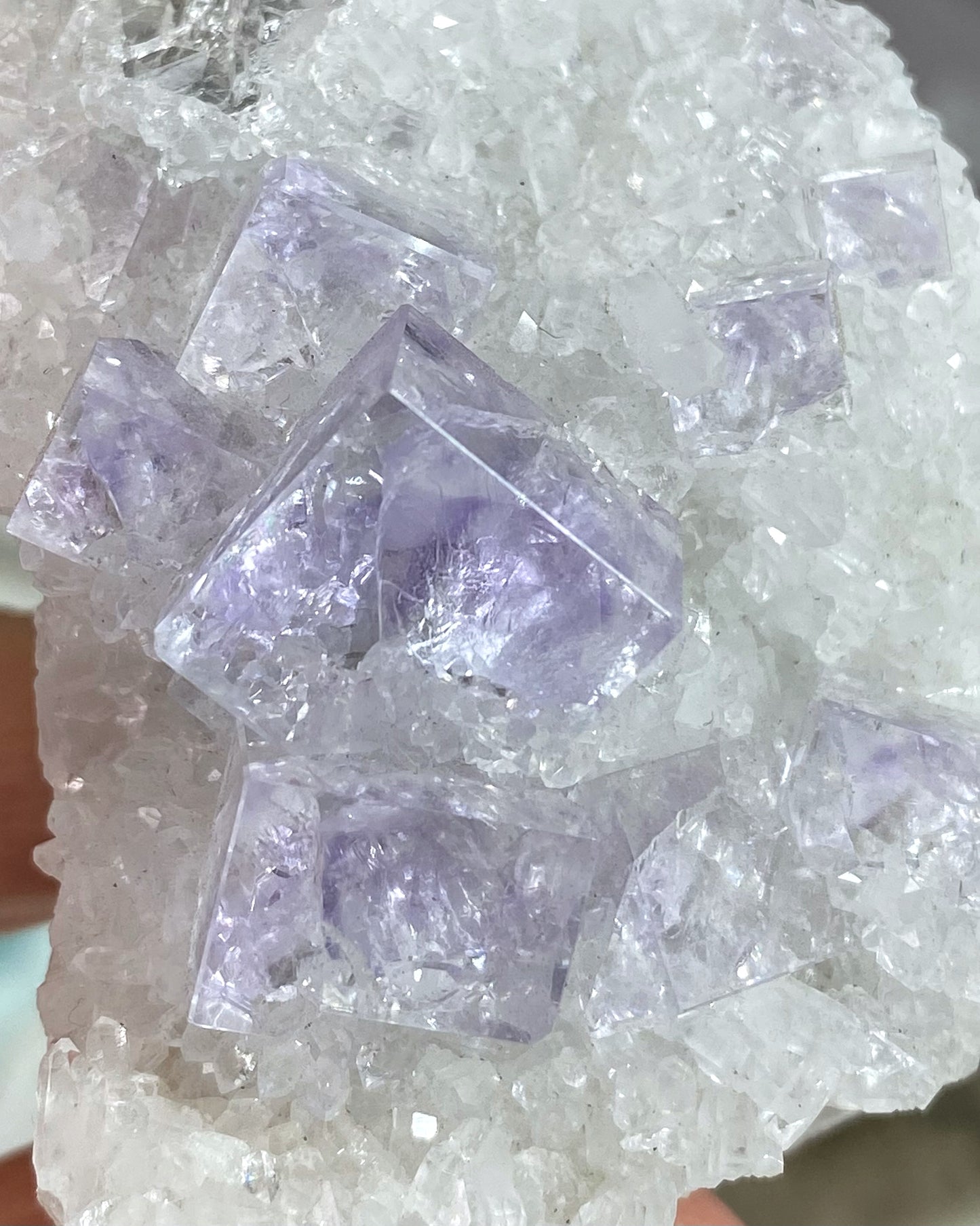 Glassy Clear Purple Cubic Fluorite on Quartz