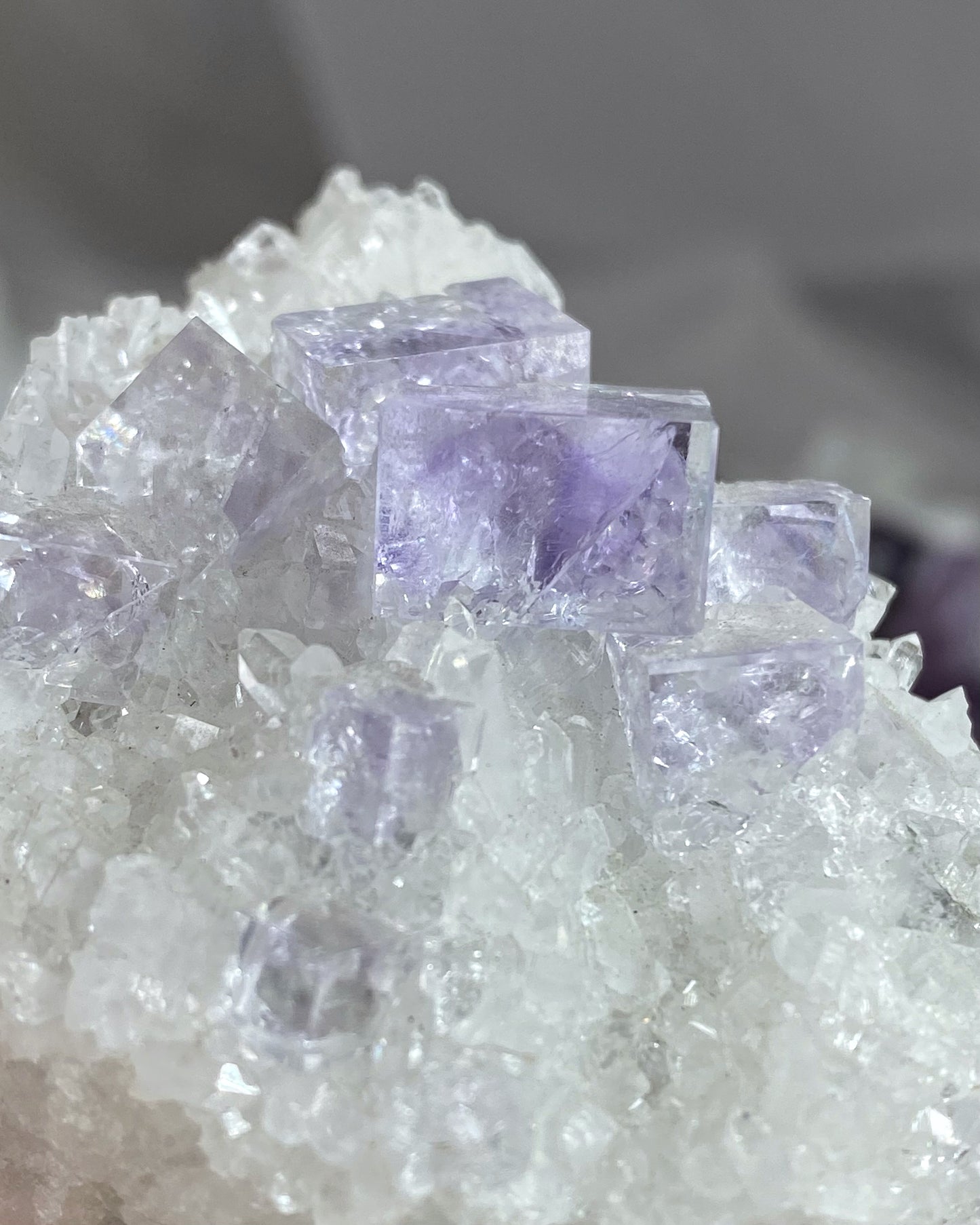 Glassy Clear Purple Cubic Fluorite on Quartz