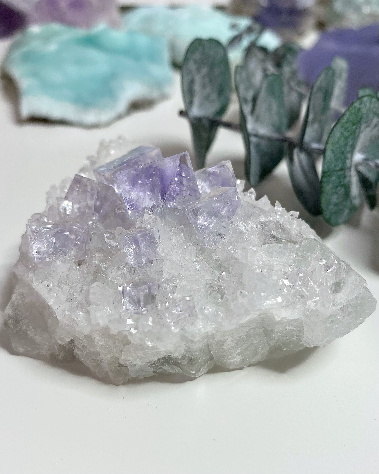 Glassy Clear Purple Cubic Fluorite on Quartz