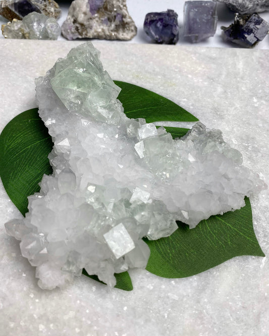 Green Glassy Cubic Fluorite with Quartz Statement Piece