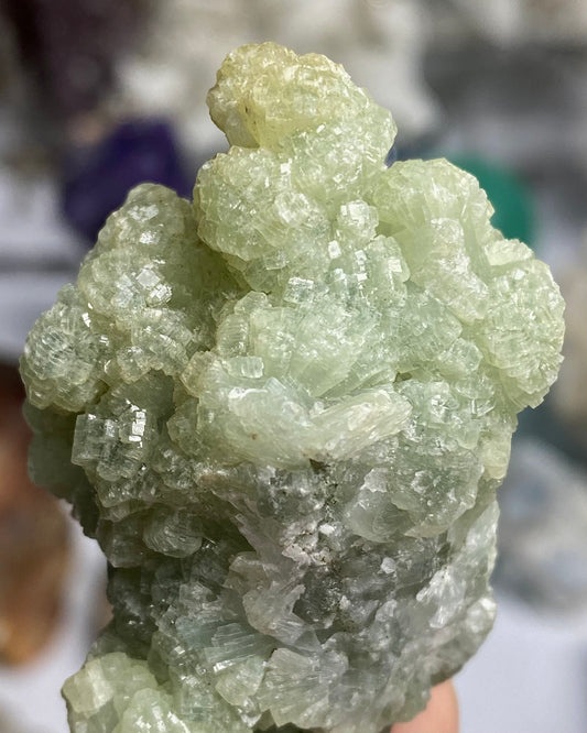Prehnite