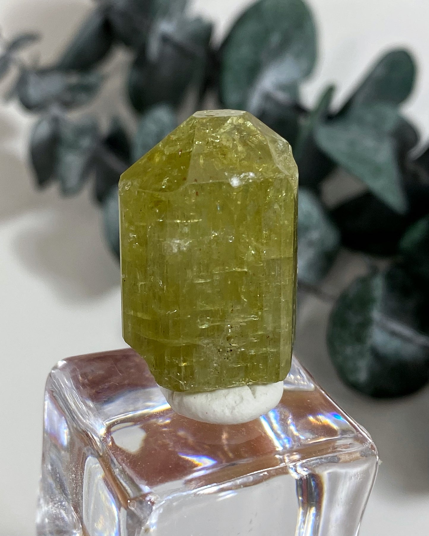 Gemmy Yellow Green Apatite Crystal