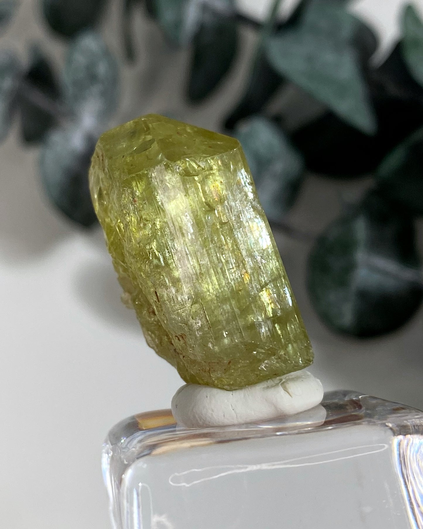 Gemmy Yellow Green Apatite Crystal