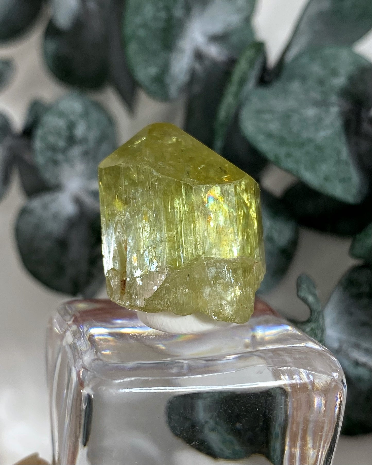 Gemmy Yellow Green Apatite Crystal