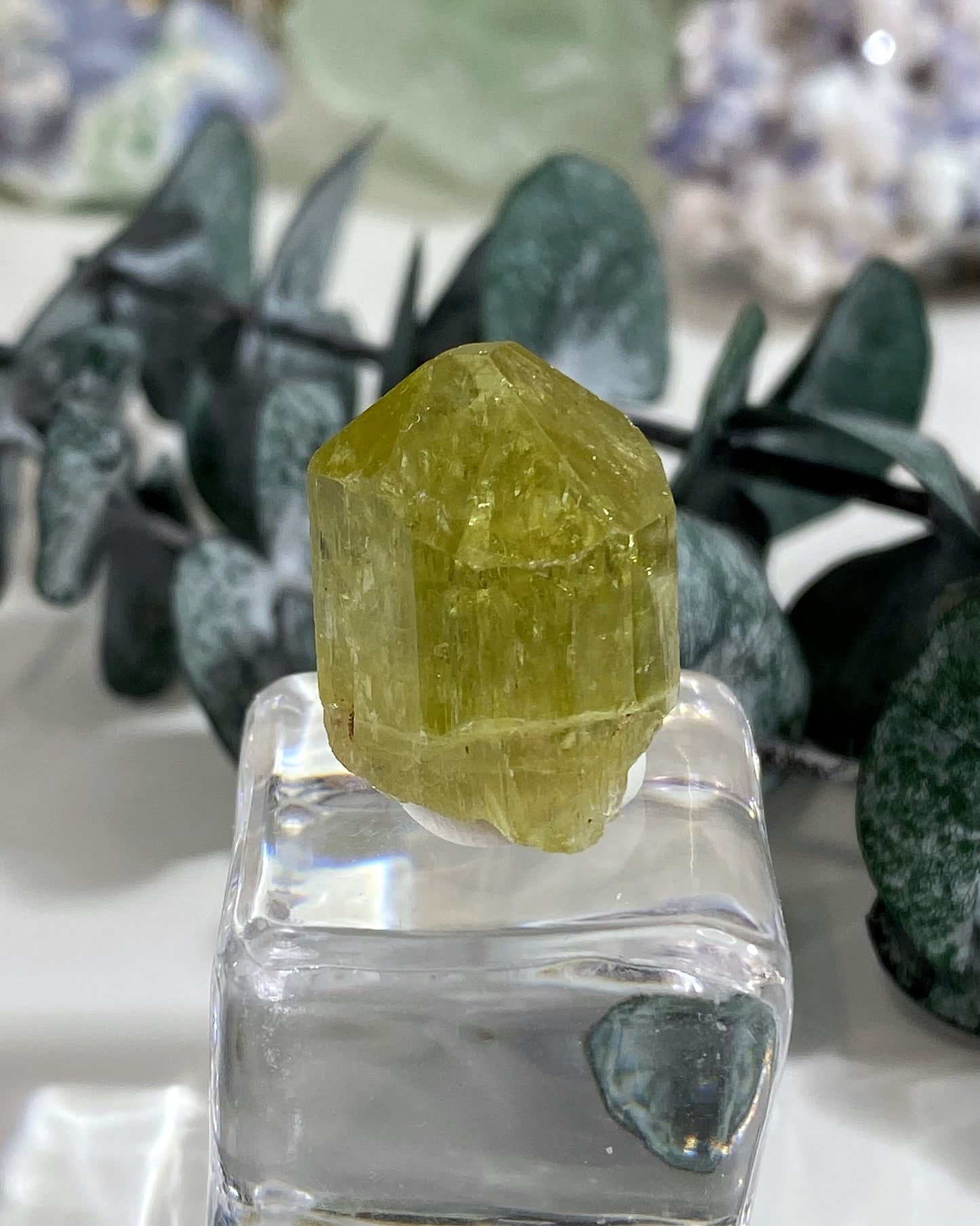 Gemmy Yellow Green Apatite Crystal