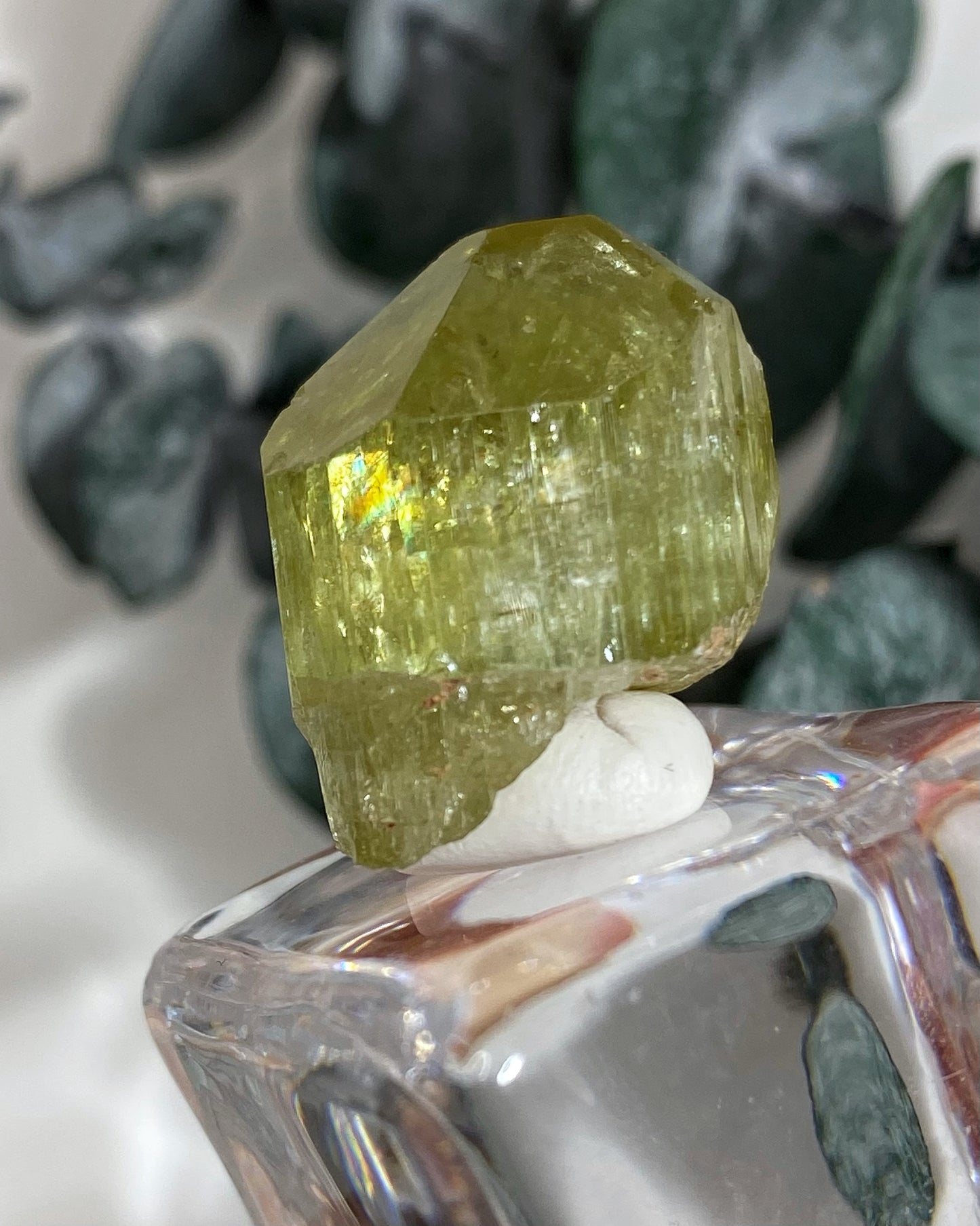 Gemmy Yellow Green Apatite Crystal