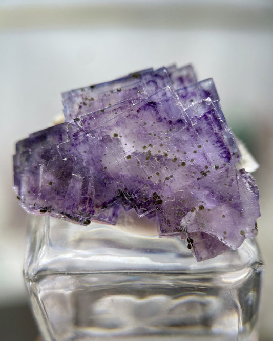Purple Blue Cubic Fluorite with Chlorite Balls and Quartz