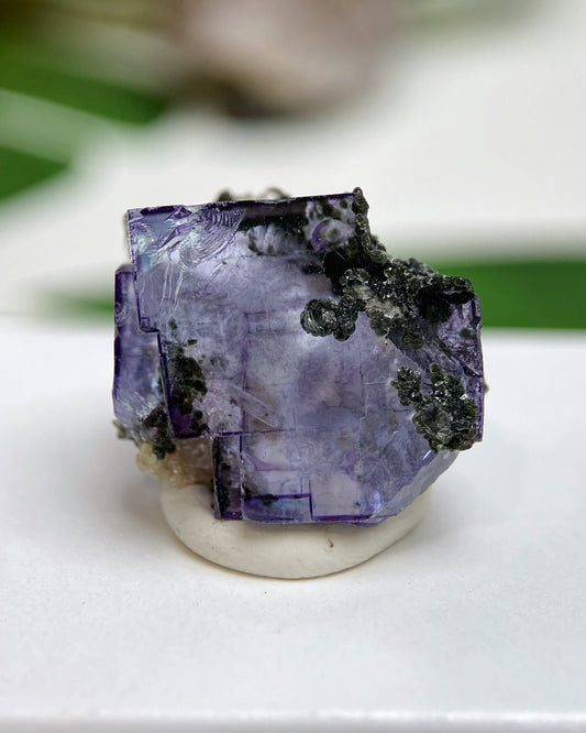 Purple Cubic Fluorite with Blue Zoning & Quartz Inclusion