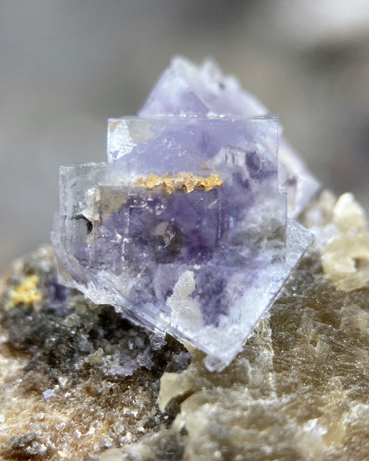 Purple Cubic Fluorite with Orange Inclusion on Muscovite