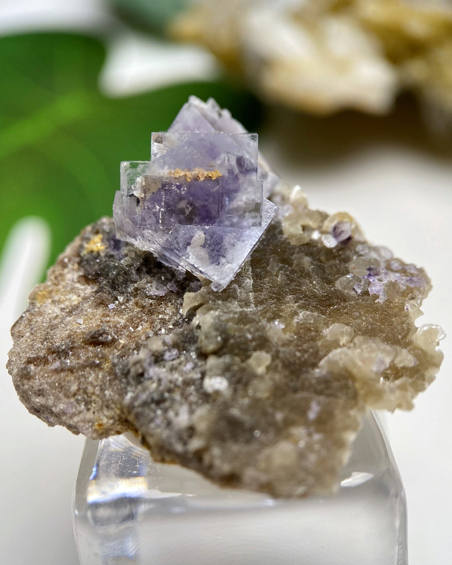 Purple Cubic Fluorite with Orange Inclusion on Muscovite