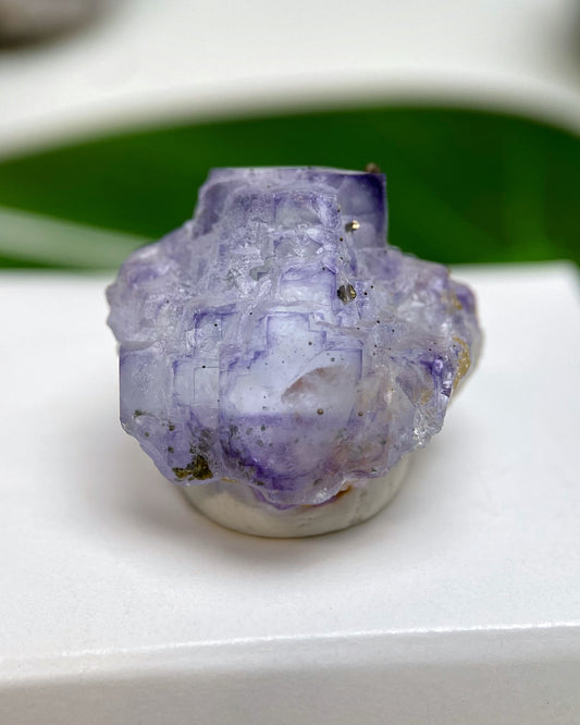 Purple Stepped Cubic Fluorite with Pyrite Crystals