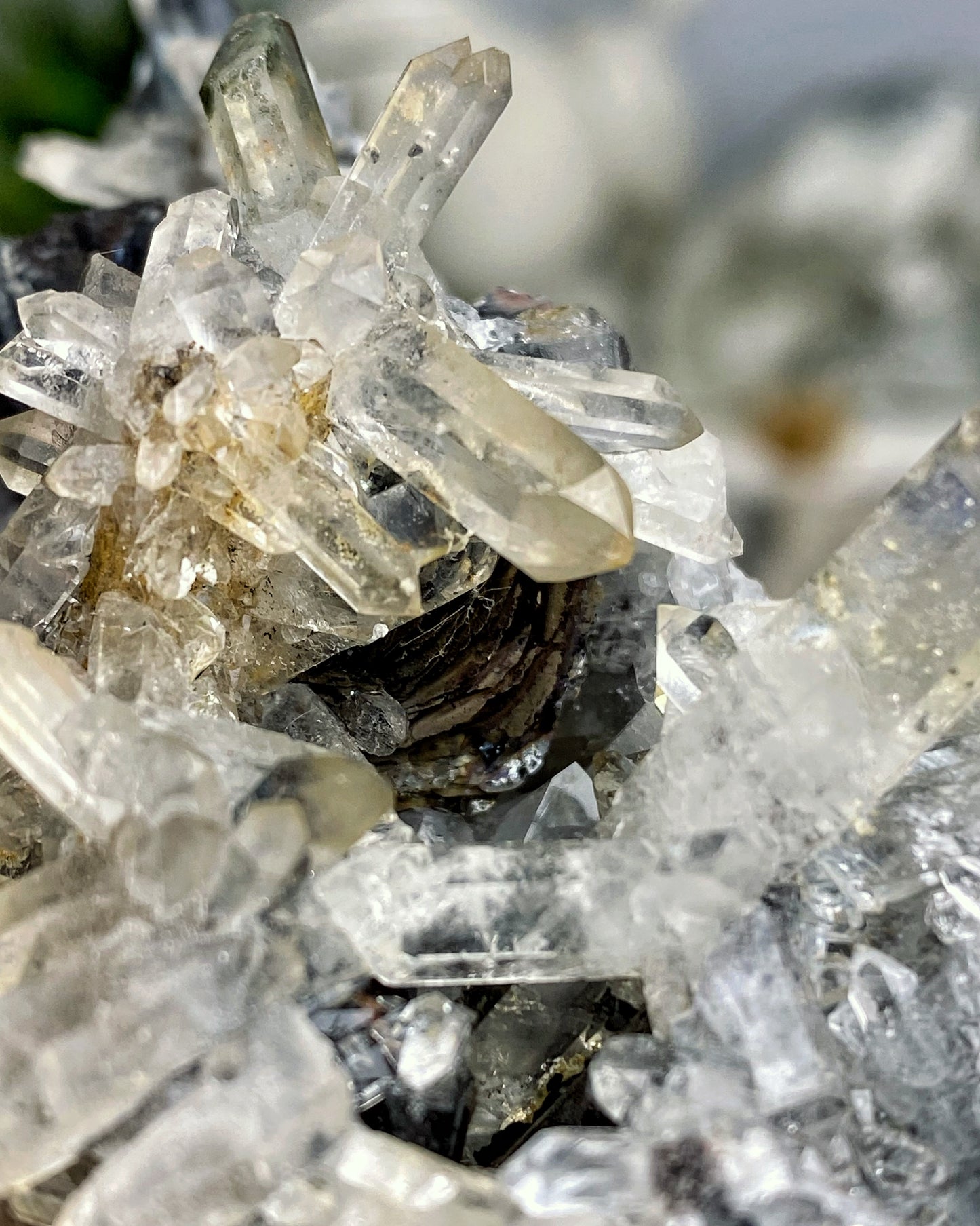 Quartz Cluster with Hematite Blades