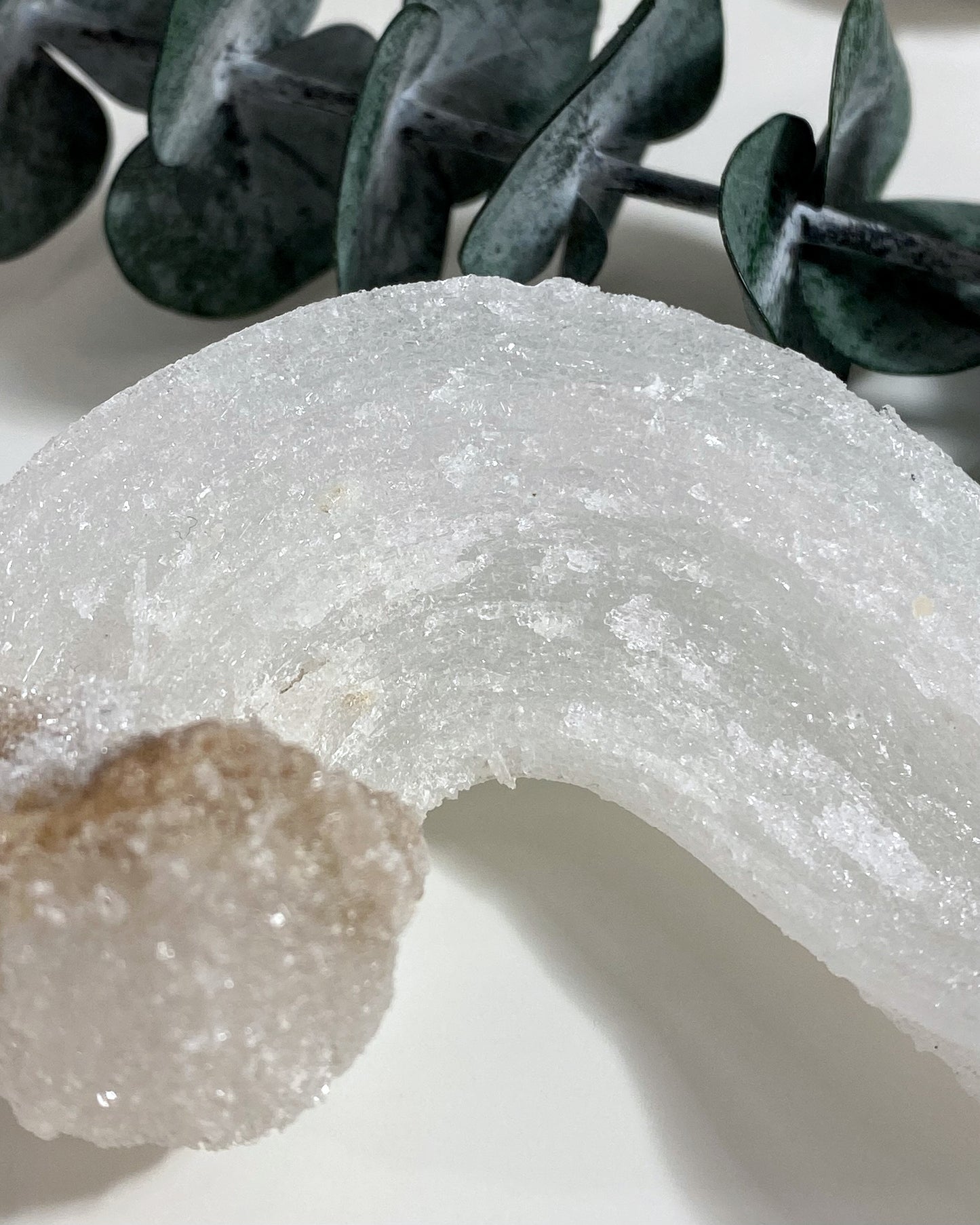 Rams Horn Selenite Gypsum Crystal