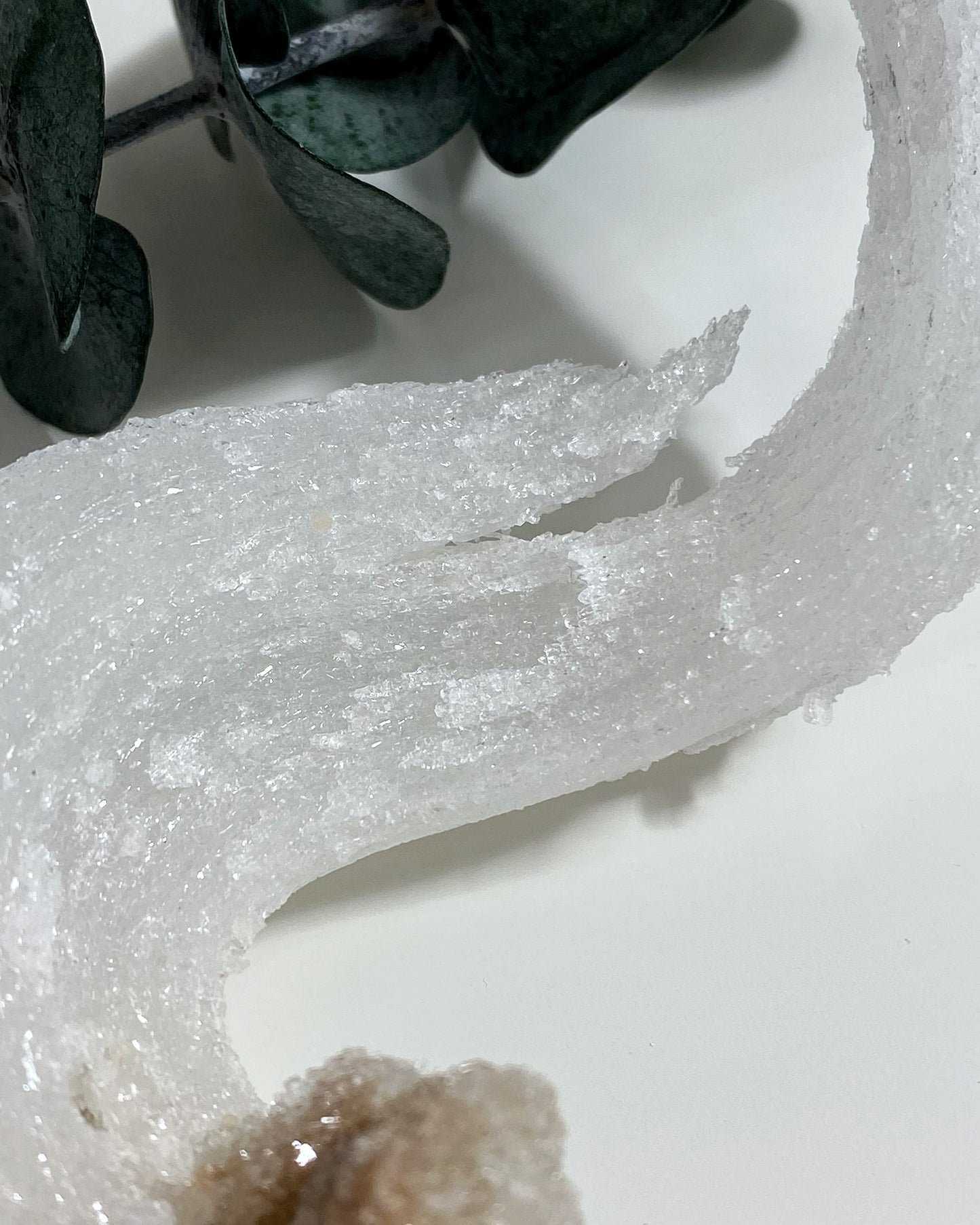 Rams Horn Selenite Gypsum Crystal