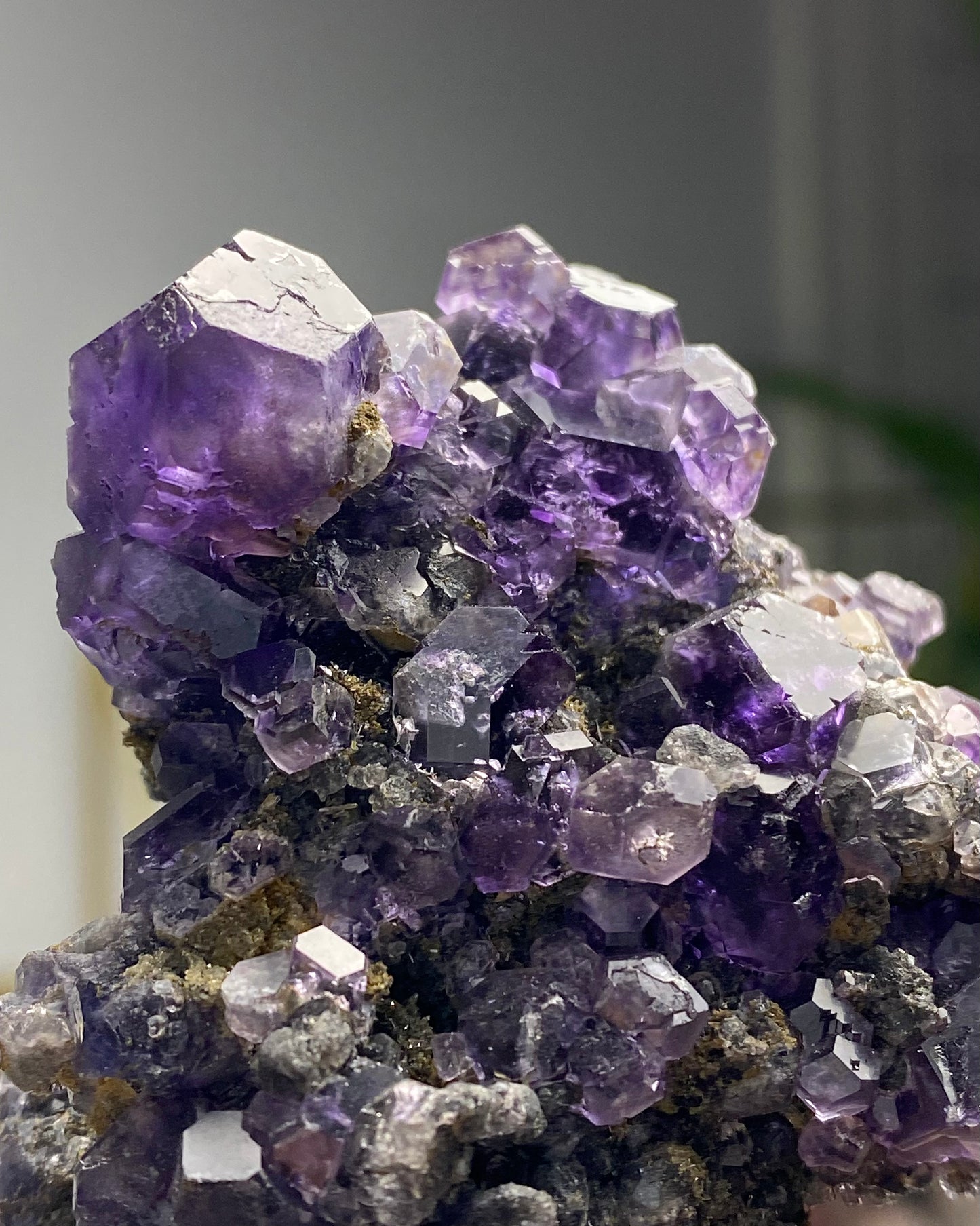 Tanzanite Fluorite
