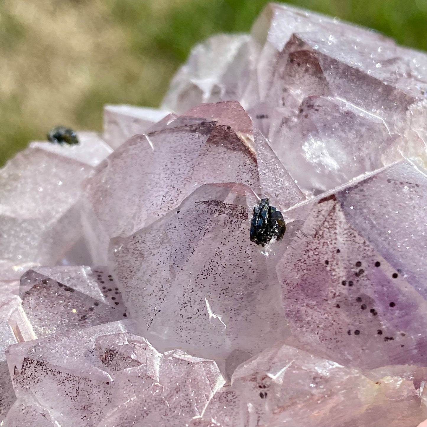 Phantom Amethyst Cluster with Hematite and Epidote