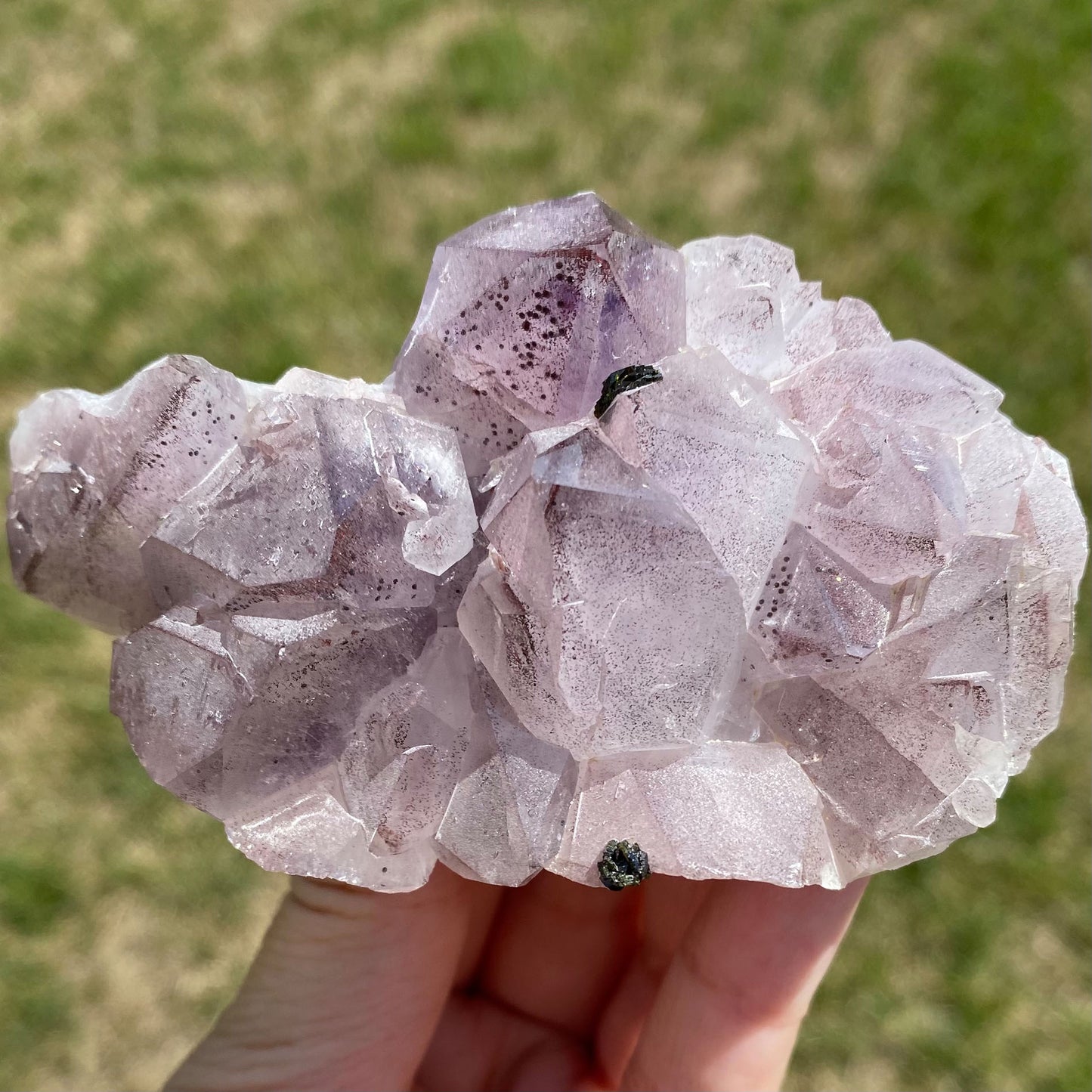 Phantom Amethyst Cluster with Hematite and Epidote