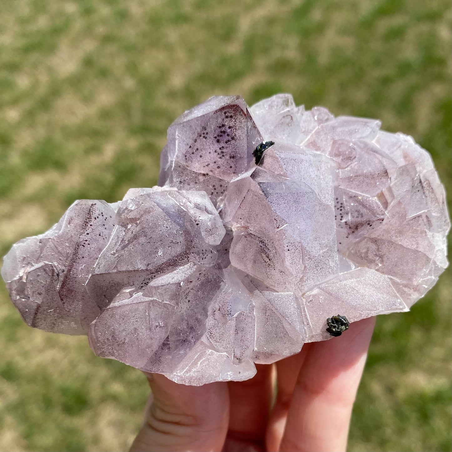 Phantom Amethyst Cluster with Hematite and Epidote
