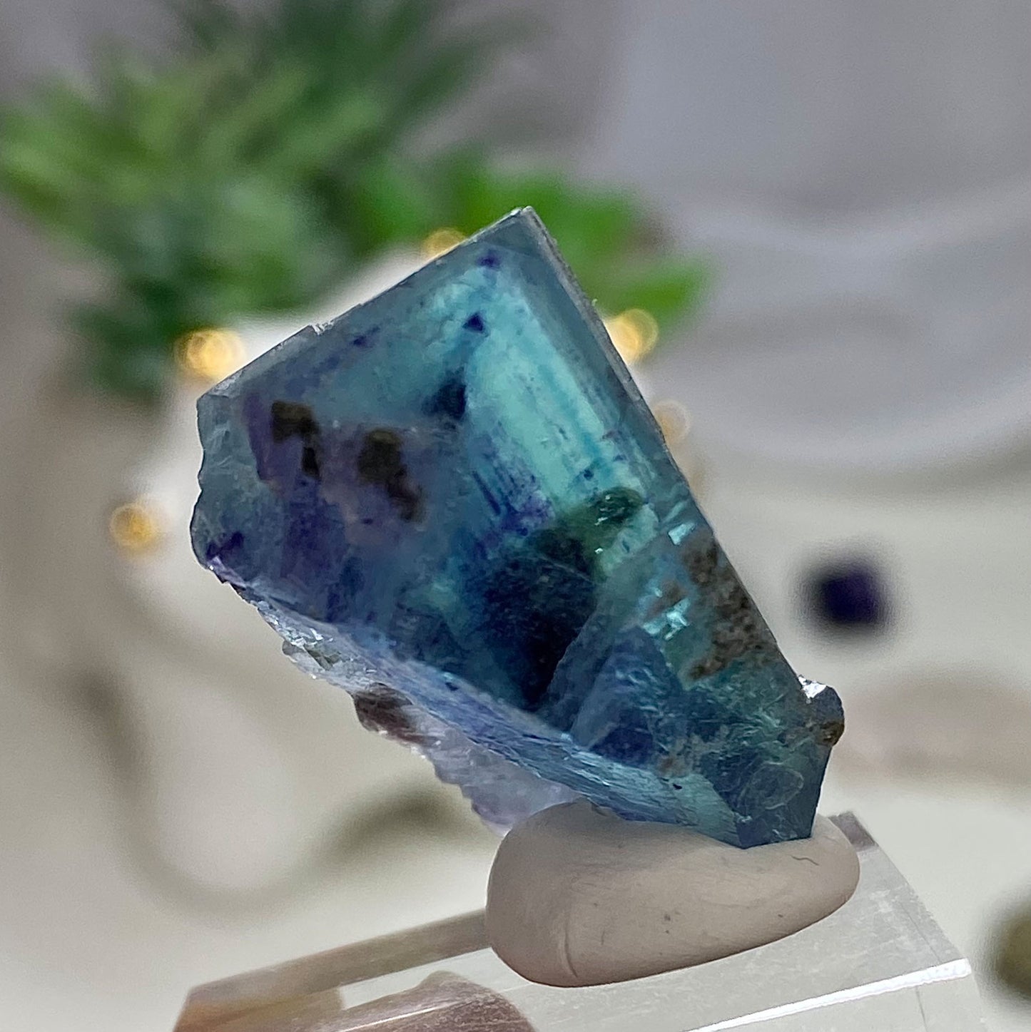 Blue Cubic Fluorite with Purple Color Zoning Yindu Mine