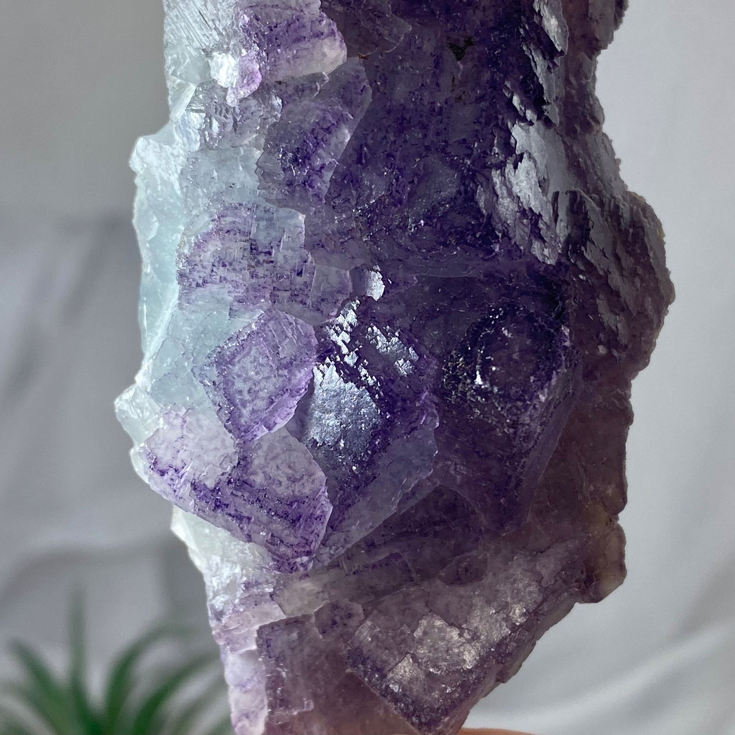 Dark Purple Edge Light Blue Green Cubic Fluorite Cluster