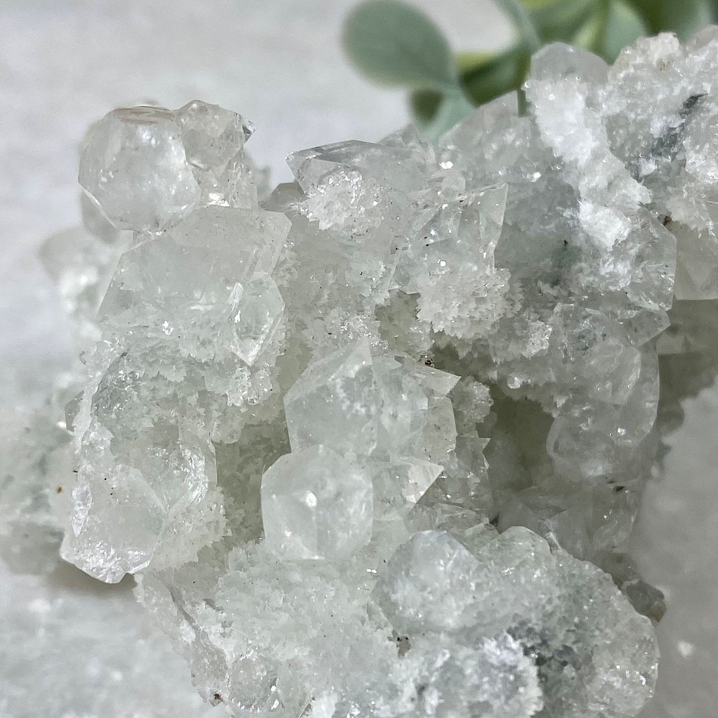 Sparkly Apophyllite Cluster with Chalcedony