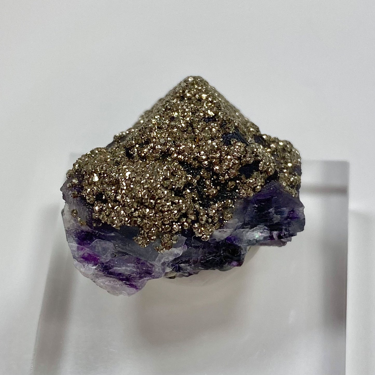 Purple Fluorite Covered with Shimmery Gold Pyrite Yaogangxian Mine