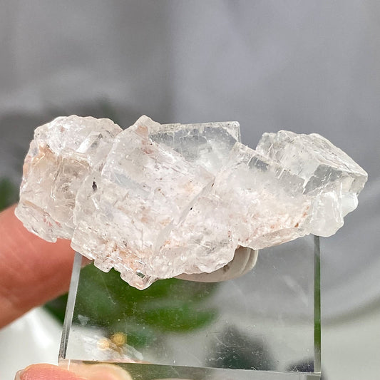 Clear Colourless Cubic Fluorite Cluster