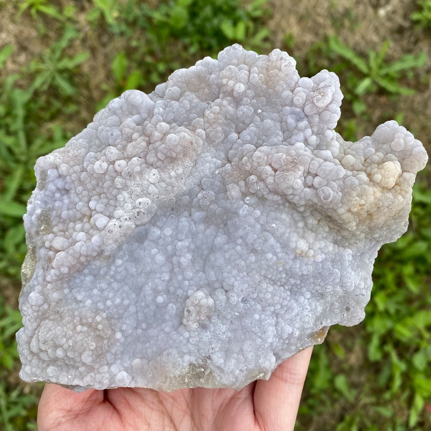 Rare Botryoidal Purple Fluorite Mineral Specimen