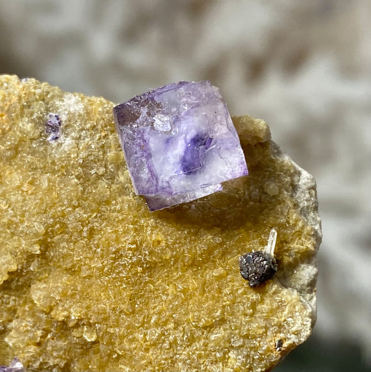Purple Color Zoning Cubic Fluorite on Yellow Matrix