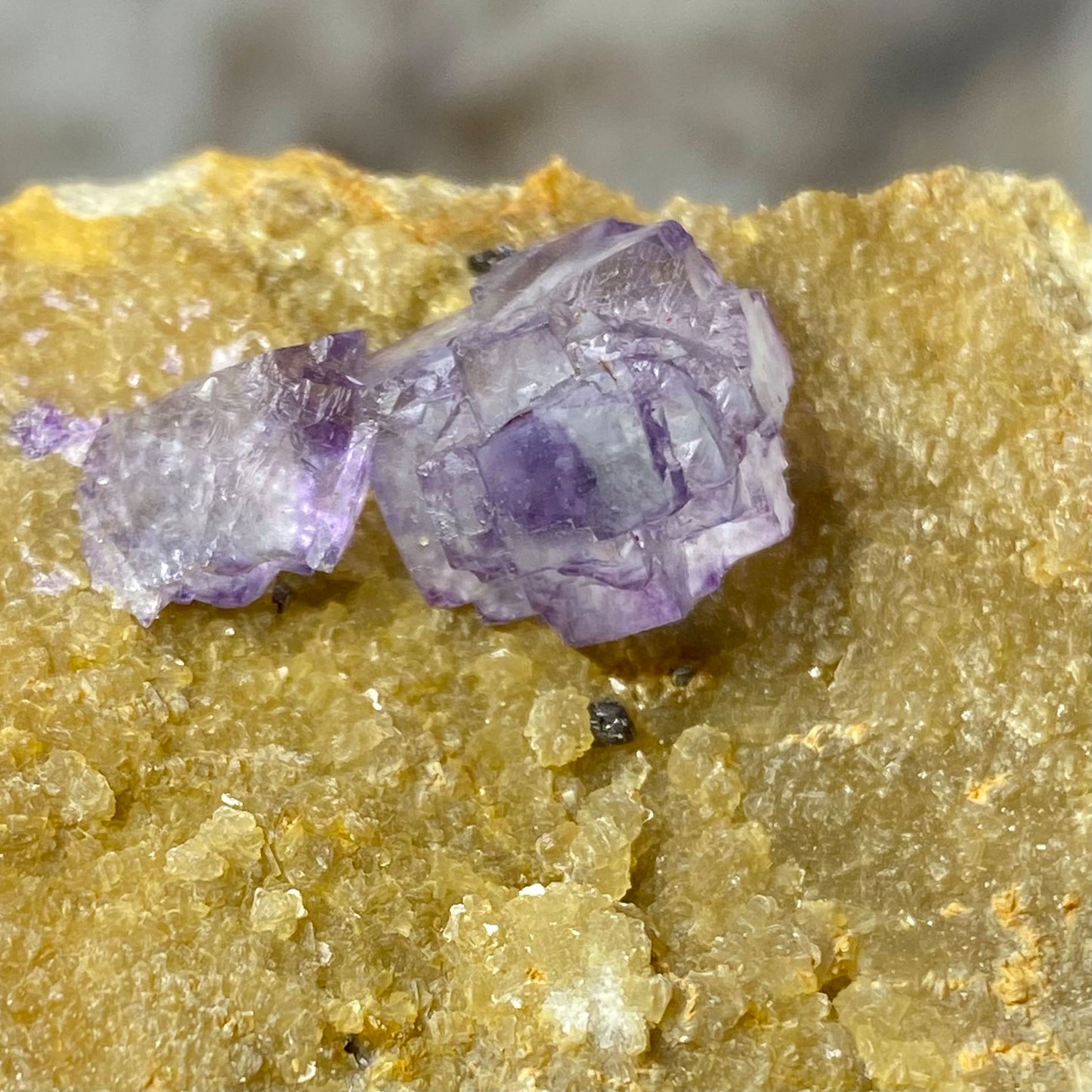 Purple Color Zoning Cubic Fluorite on Yellow Matrix