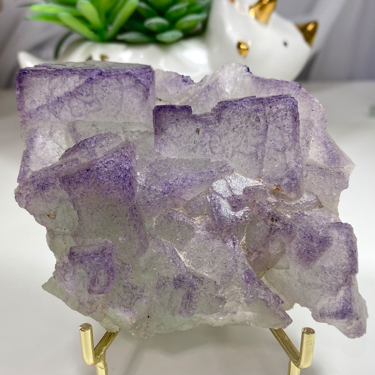 Purple Edge Light Green Cubic Fluorite Cluster