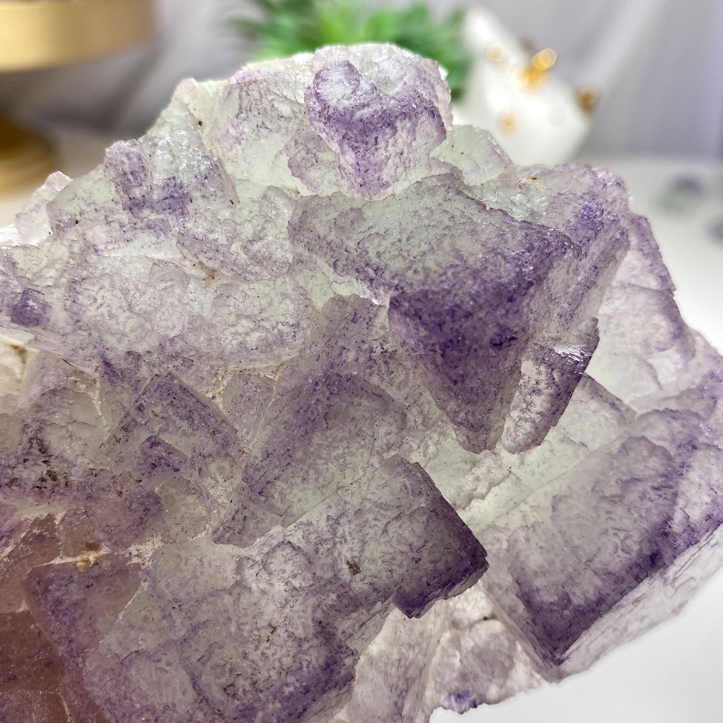 Purple Edge Light Green Cubic Fluorite Cluster
