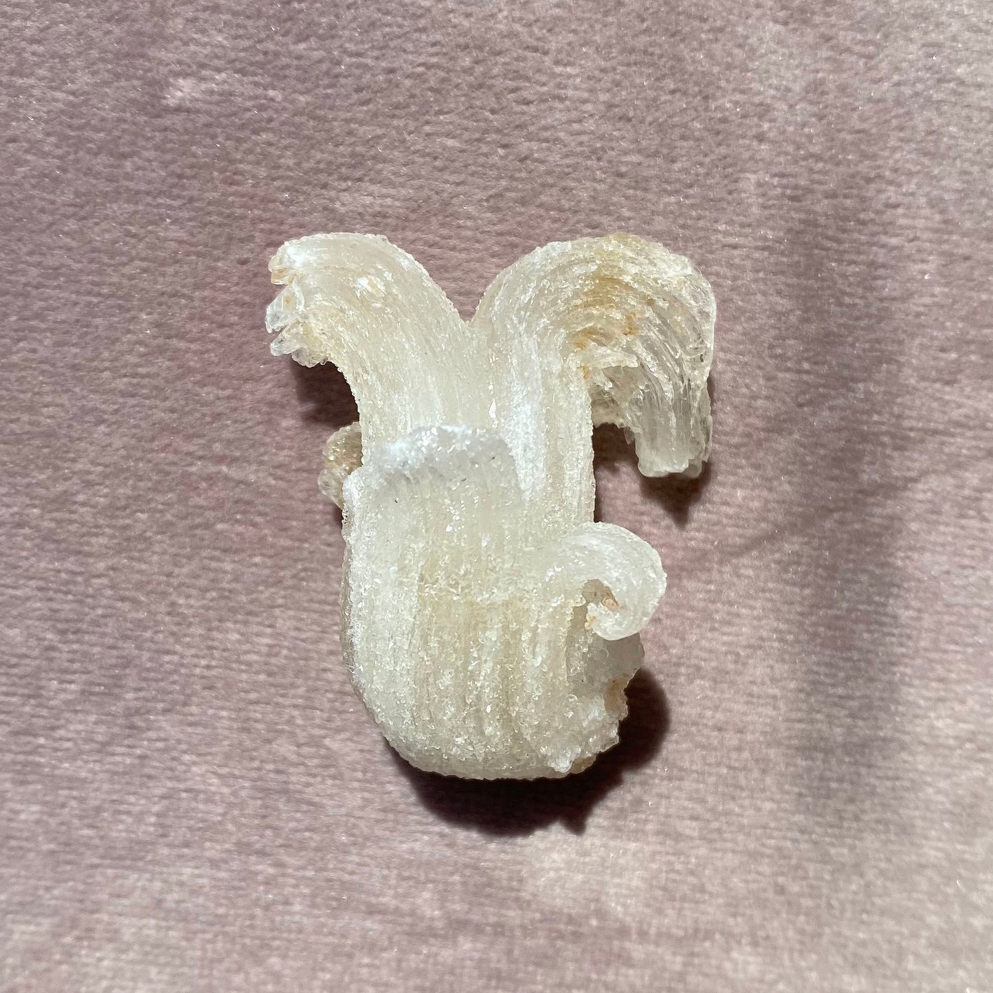 Rams Horn Gypsum Selenite Mineral Specimen