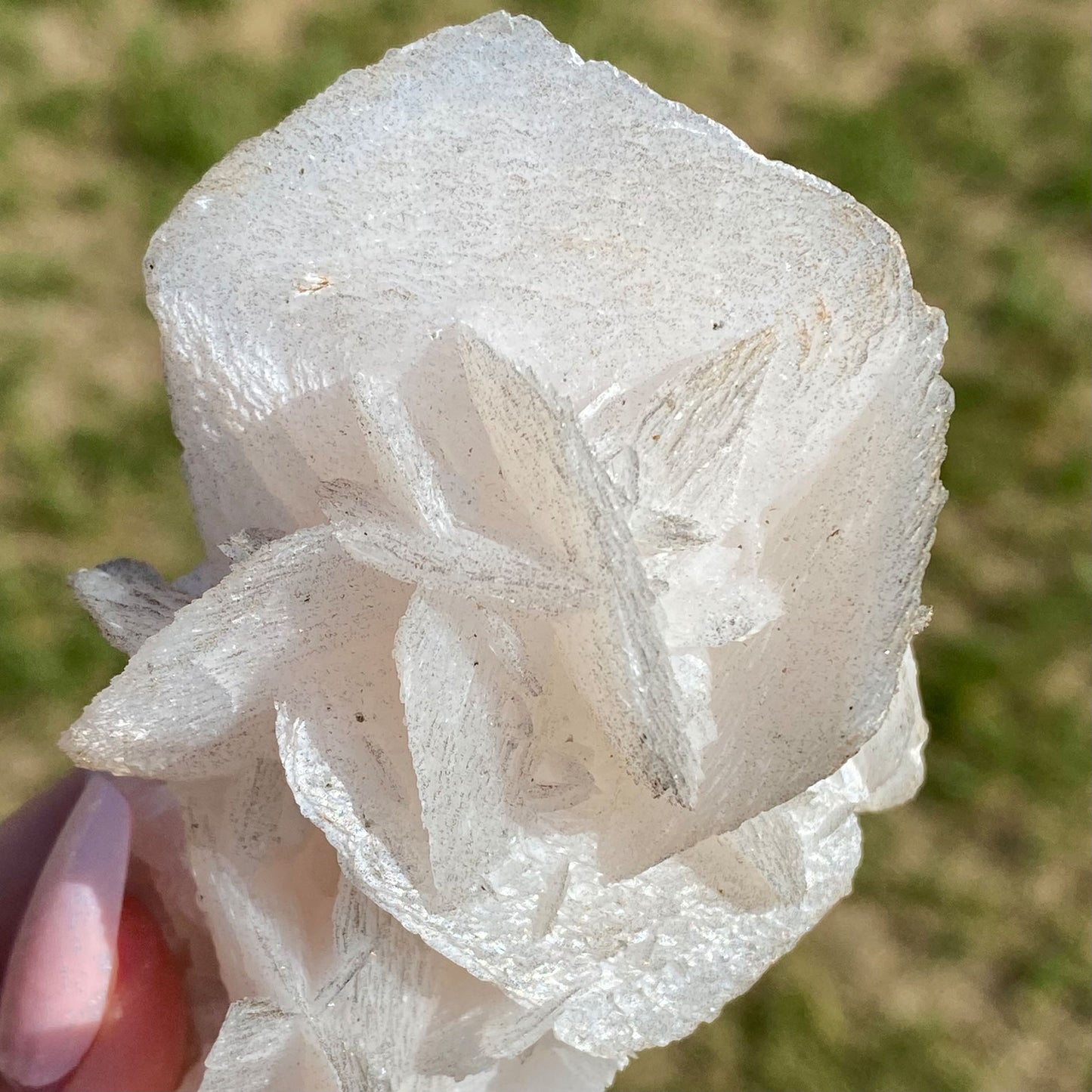 Calcite with Pyrite Mineral Specimen Flower Formation