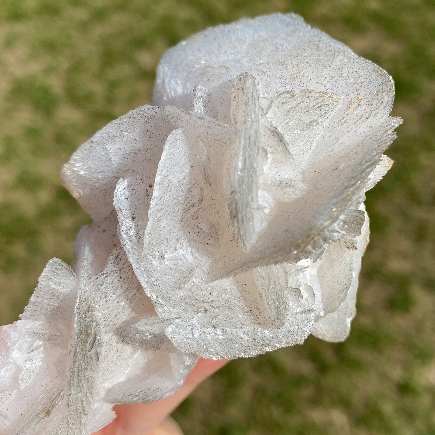 Calcite with Pyrite Mineral Specimen Flower Formation