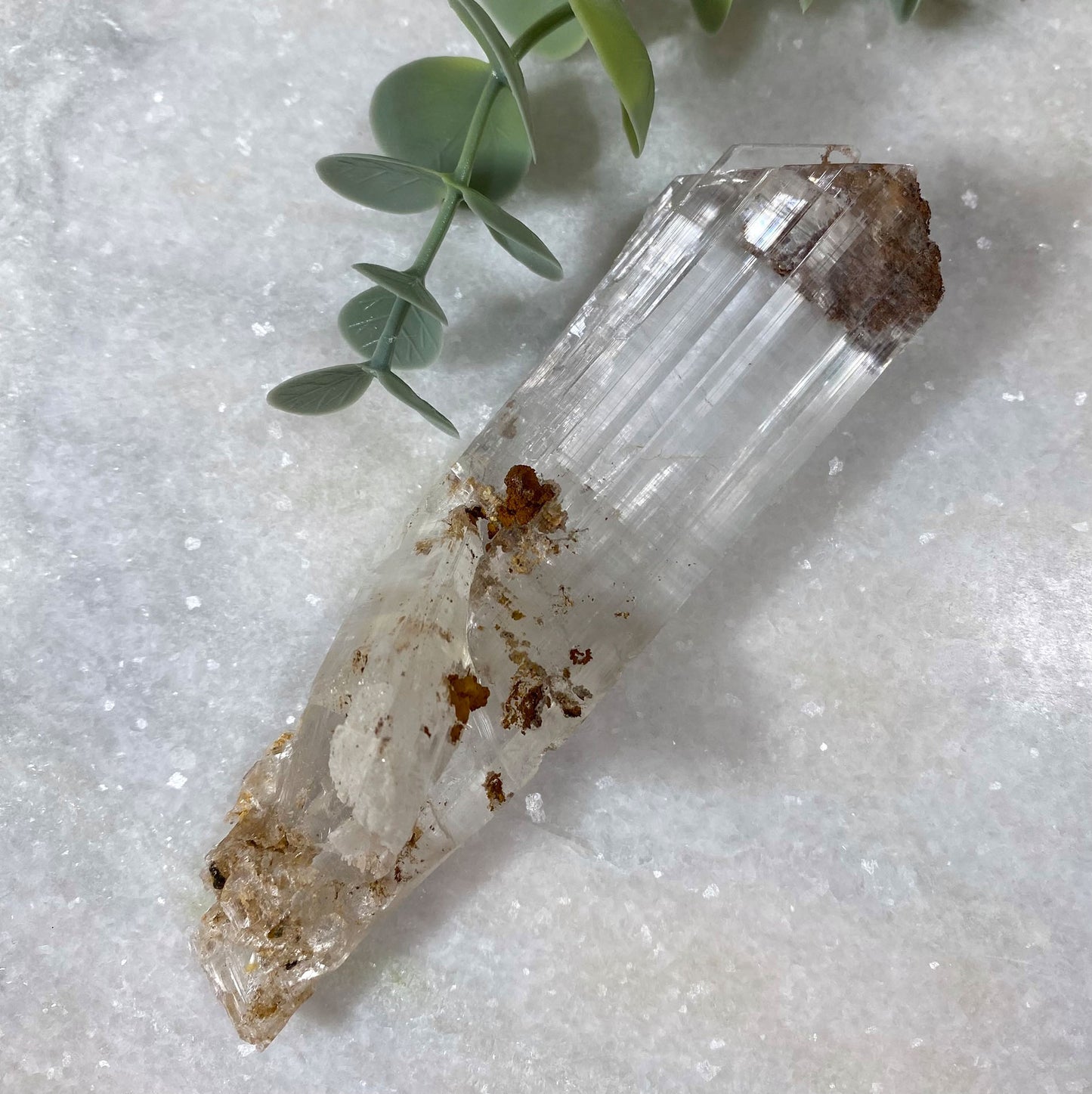 Long Selenite Gypsum Crystal Mineral Specimen