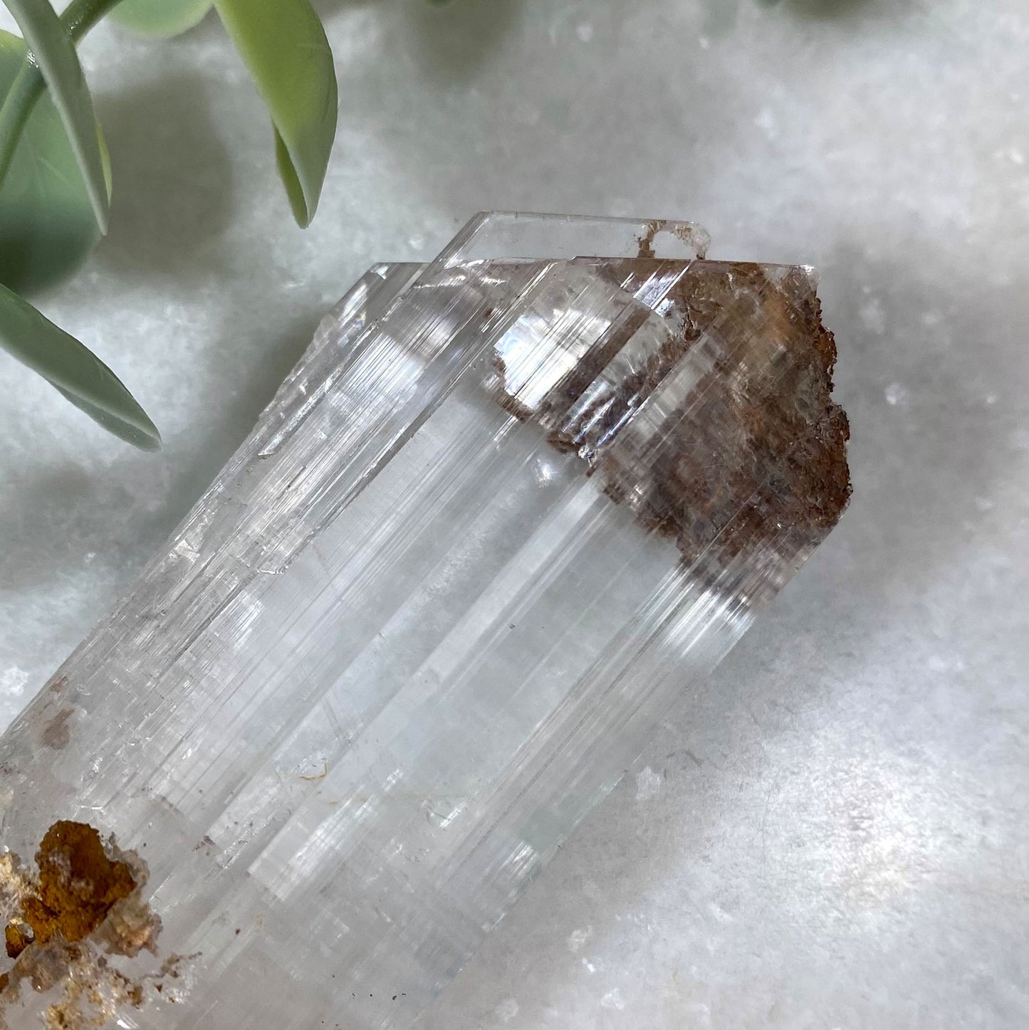 Long Selenite Gypsum Crystal Mineral Specimen