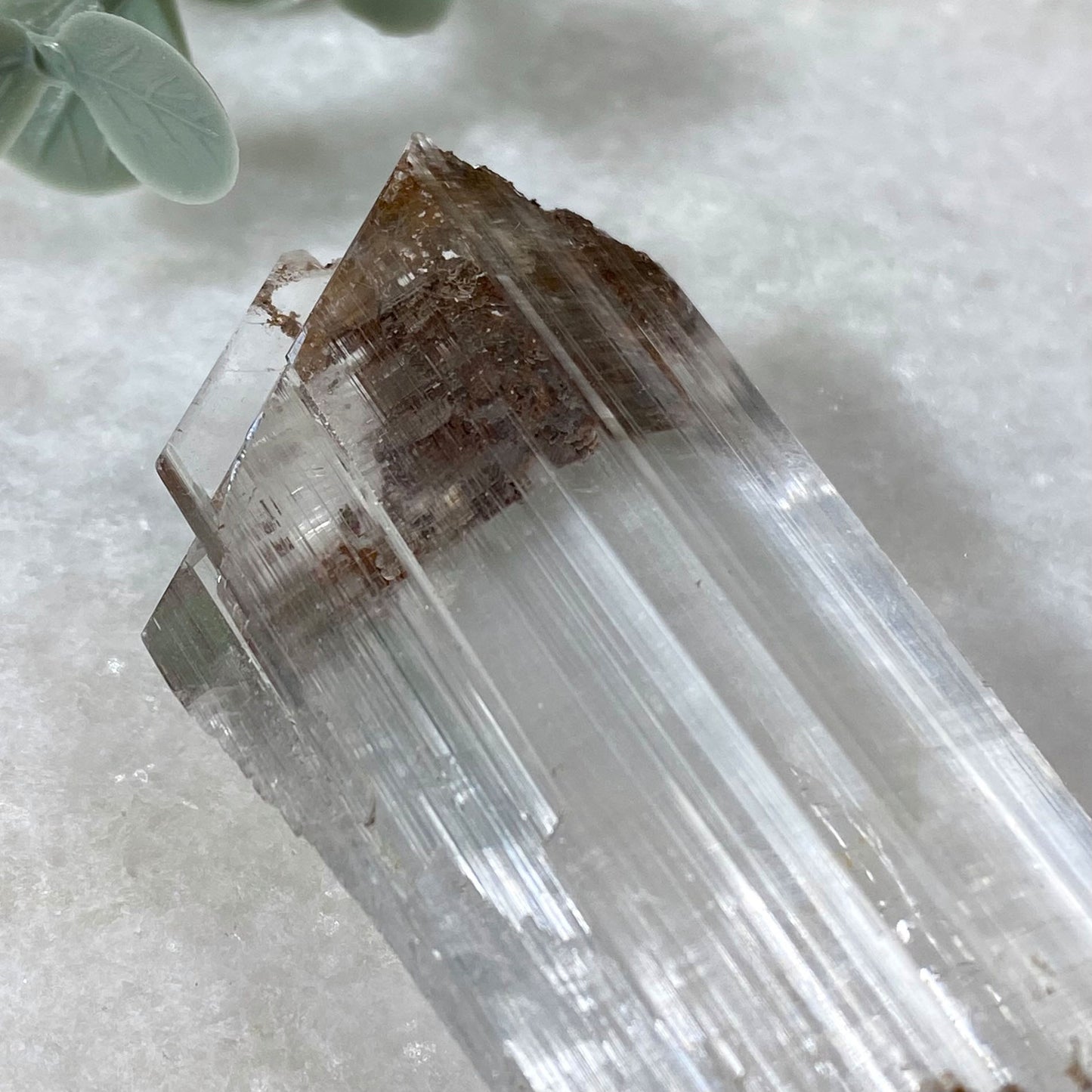 Long Selenite Gypsum Crystal Mineral Specimen