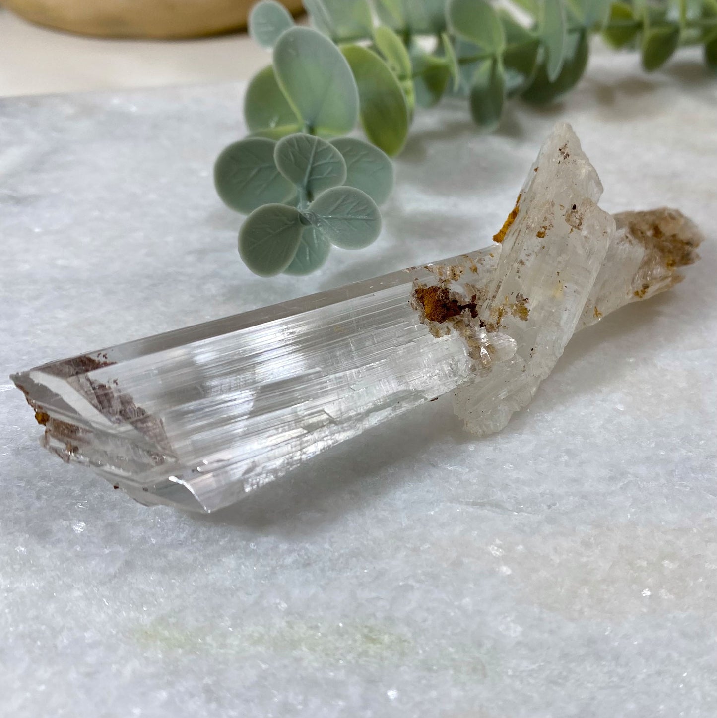 Long Selenite Gypsum Crystal Mineral Specimen